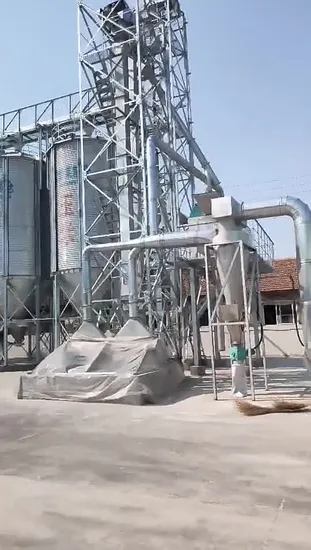 Silo Ppaddy de 1000 tonnes, type d'assemblage boulonné, fabricants de bacs agricoles, silo à grains en tôle ondulée en acier, prix bon marché à vendre