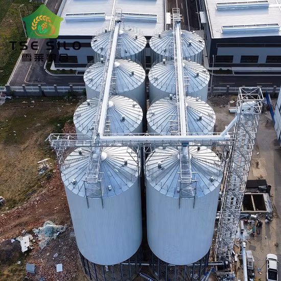 Silo à grains en acier de tôle ondulée Silo inférieur de trémie de 1000 tonnes