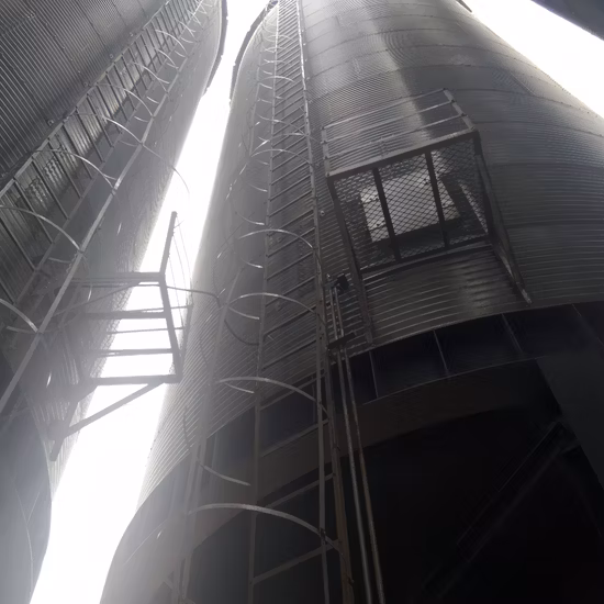 Silo de maïs de bac d'alimentation de plaque d'acier de stockage de grain de grande capacité
